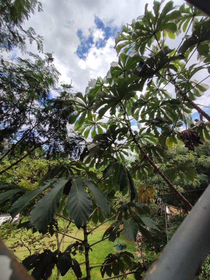 Loft Charmoso Lägenhet Chapada dos Guimarães Exteriör bild